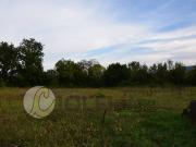 Terreno edificabile in vendita a Pignataro Interamna