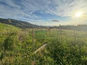 Terreno edificabile in vendita a Reggio Calabria
