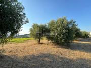 Terreno edificabile in vendita a Ripa Teatina