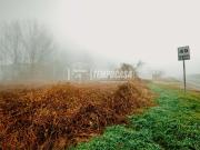 Terreno edificabile in vendita a Robbio