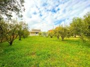 Terreno edificabile in vendita a Roma