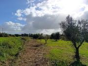 Terreno edificabile in vendita a Roma