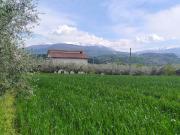 Terreno edificabile in vendita a Rosciano