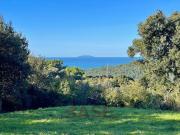 Terreno edificabile in vendita a Rosignano Marittimo