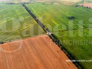 Terreno Edificabile in vendita a Rovigo