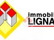 Terreno edificabile in vendita a San Michele al Tagliamento