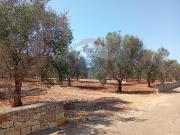 Terreno edificabile in vendita a San Vito Dei Normanni