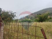 Terreno edificabile in vendita a Santa Maria A Vico