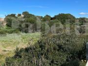 Terreno edificabile in vendita a Santa Teresa Gallura