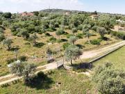 Terreno agricolo in vendita a Sassari