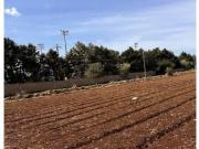 Terreno edificabile in vendita a Siracusa