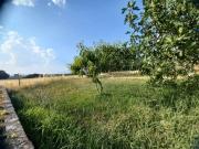 Terreno edificabile in vendita a Spoleto