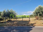 Terreno edificabile in vendita a Velletri