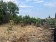 Terreno edificabile in vendita a Zafferana Etnea