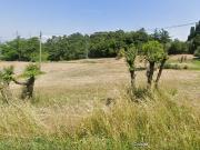 Terreno Edificabile in vendita, Fucecchio ponte a cappiano