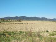 Terreno Edificabile in vendita, Grosseto barbaruta