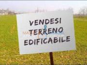 Terreno Edificabile in vendita in via nespolo 6, Montignoso