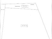 Terreno edificabile industriale in affitto a Collesalvetti