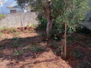 Terreno edificabile residenziale in vendita a Cavallino