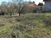 Terreno Edificabile Residenziale in vendita a Colli del...