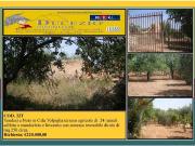 Terreno edificabile residenziale in vendita a Noto