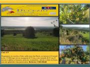 Terreno edificabile residenziale in vendita a Noto