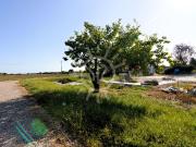 Terreno edificabile residenziale in vendita a Ozzano...