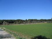 Terreno edificabile residenziale in vendita a Pontedera