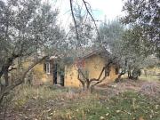 Terreno agricolo in vendita a Roma