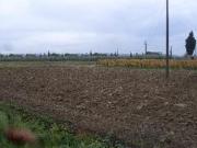 Terreno edificabile residenziale in vendita a San Miniato