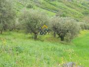 Terreno edificabile residenziale o commerciale in...
