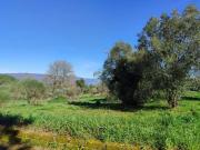 Terreno Edificabile Rif. 2365