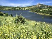 terreno edificabile urbano