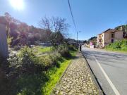 Terreno, Eiras e São Paulo de Frades