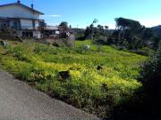 Terreno, Eiras e São Paulo de Frades