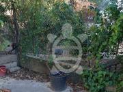 Terreno, Eiras e São Paulo de Frades, Coimbra | BPI...