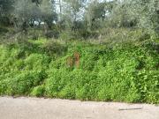 Terreno, Eiras e São Paulo de Frades, Coimbra | BPI...