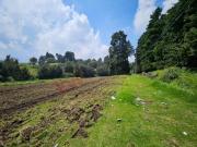 Terreno Ejidal Cesion de Derechos Frente Rancho Magico