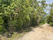 TERRENO EJIDAL EN VENTA, CON CESION DE DERECHOS DON...