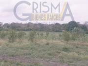 TERRENO EJIDAL EN VENTA DE 4.74 HECTÁREAS A BORDO DE...