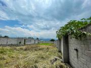 Terreno ejidal en venta en “Las Victorias”, Col. El... Terreno ejidal en venta en “Las Victorias”, Col. El...