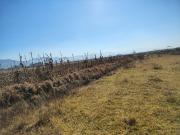 Terreno Ejidal en venta en San Nicolas Peralta Lerma, a...