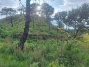 Terreno Ejidal en Venta, La Primavera, Jalisco Terreno Ejidal en Venta, La Primavera, Jalisco