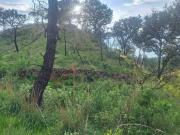 TERRENO EJIDAL EN VENTA, LA PRIMAVERA, JALISCO