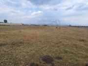 Terreno Ejidal en Venta: San Miguel Totocuitlapilco,...