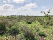 Terreno Ejido PUENTECILLAS