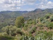 Terreno, El Cortijuelo, Málaga