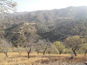 Terreno, El Cortijuelo, Málaga