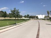 Terreno El Mayorazgo