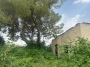 Terreno, El Palmar, Murcia